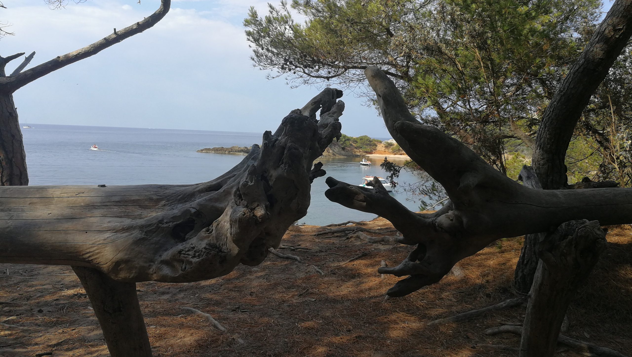 Porquerolles, Île d'Or — Var