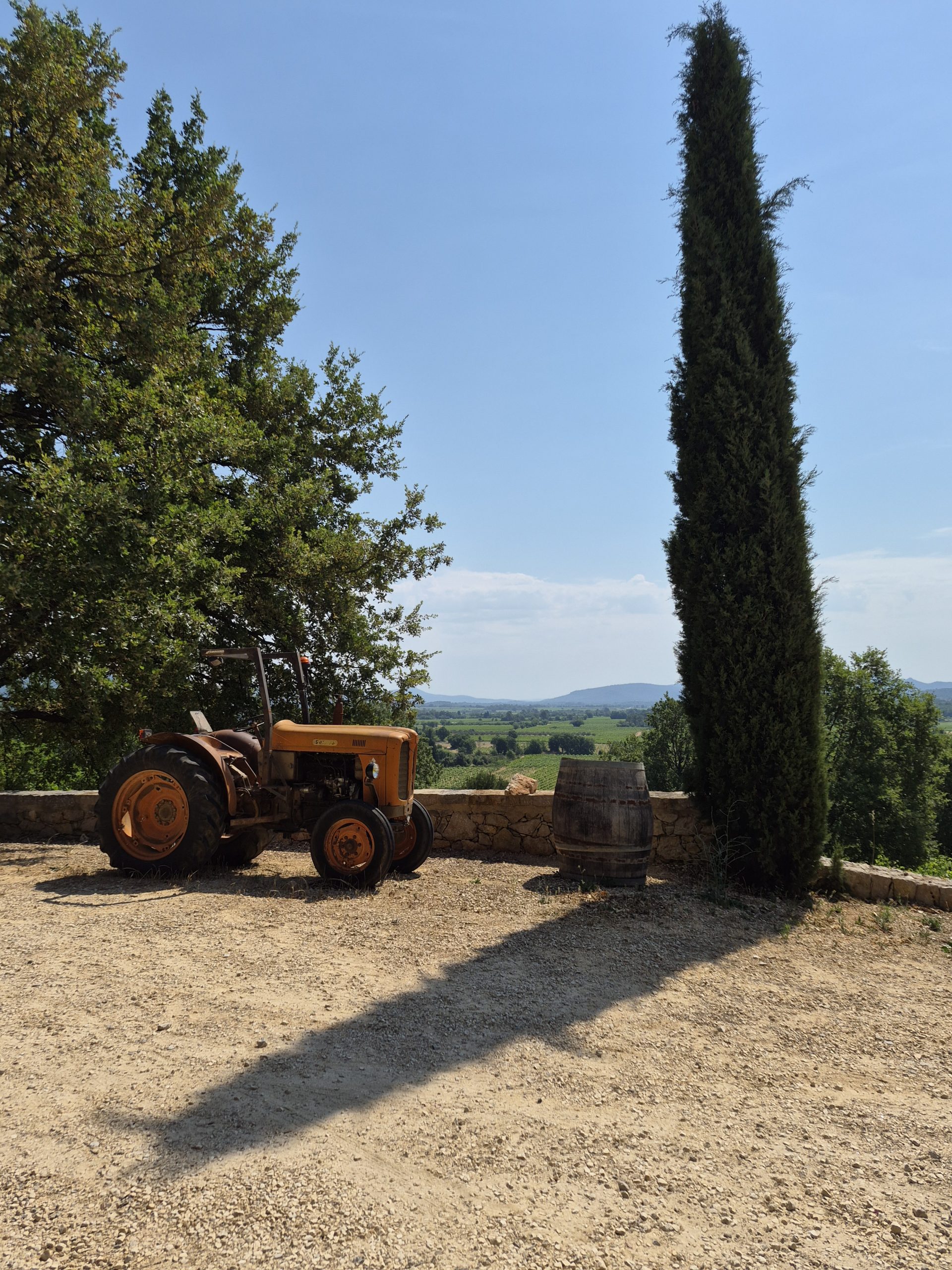 Dégustation au domaine et apéro tapas — vignoble du Var